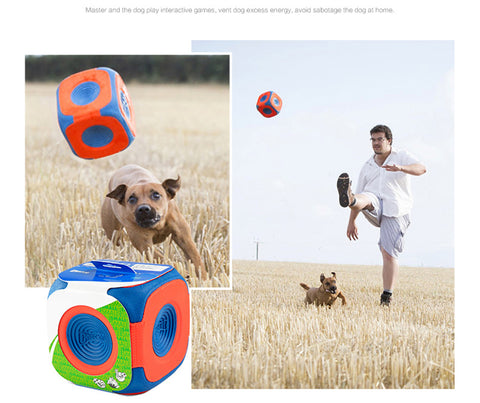 AmStaff Square Ball Toy - ILoveMyStaff