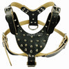 5 Colors Leather Studded Spiked Dog Harness For Pitbull Amstaff - ILoveMyStaff