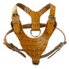 5 Colors Leather Studded Spiked Dog Harness For Pitbull Amstaff - ILoveMyStaff