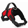 K9 Harness Collar Amstaff - High Quality - 4 Colours - ILoveMyStaff