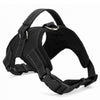 K9 Harness Collar Amstaff - High Quality - 4 Colours - ILoveMyStaff