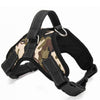 K9 Harness Collar Amstaff - High Quality - 4 Colours - ILoveMyStaff