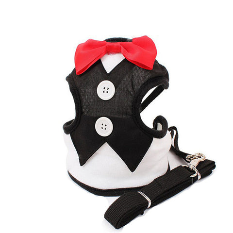 Dog Harness And Leash Set - ILoveMyStaff